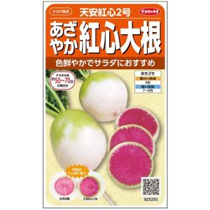 紅芯大根 種の商品一覧 通販 Yahoo ショッピング