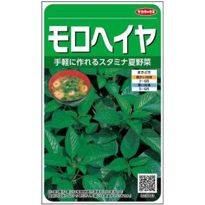 モロヘイヤ サカタのタネ 0 8ml 野菜種 春まき 9230 moroheiya Hana Uta 米沢園芸 Yahoo 店 通販 Yahoo ショッピング