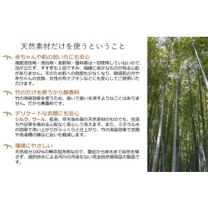 バンブークリア 3L 詰め替え 竹の洗剤 3リ...の詳細画像5