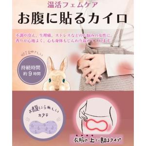 おなか用 使い捨てカイロ 冷え対策 生理痛 エ...の詳細画像4