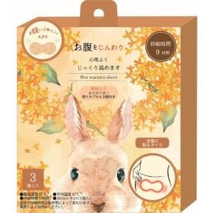 おなか用 使い捨てカイロ 冷え対策 生理痛 エ...の詳細画像1