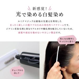 白髪染め アウラピュア ルミナマジックSII ...の詳細画像1