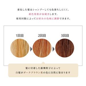 白髪染め アウラピュア ルミナマジックSII ...の詳細画像2