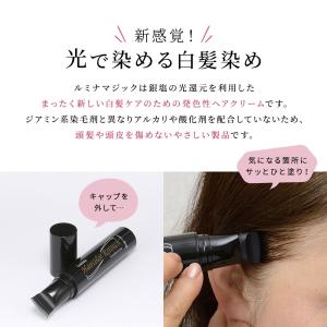 白髪染め 部分染め ヘアカラー リタッチ 本体...の詳細画像1