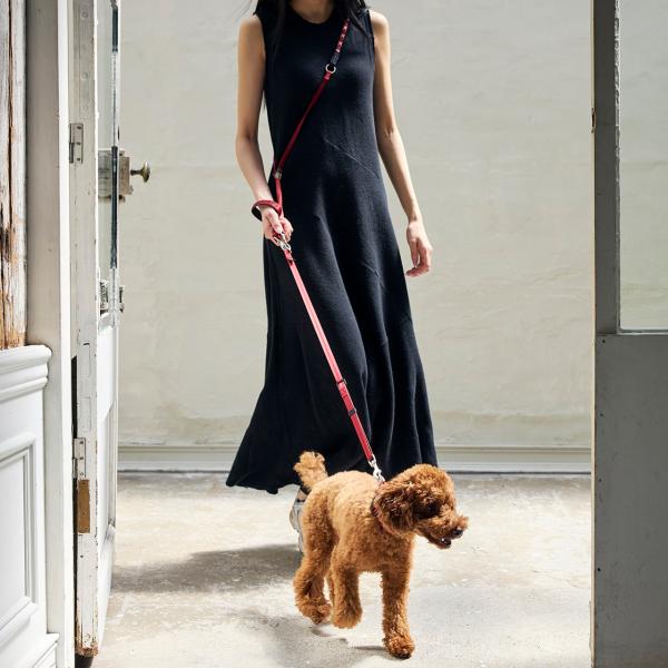 マンダリンブラザーズ HANDS FREE LEASH 犬 リード ハンズフリー 小型犬 中型犬 持...