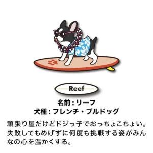 キーホルダー 犬のアクリルキーホルダー SUR...の詳細画像5