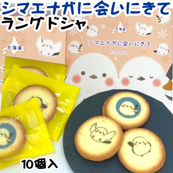 北海道 シマエナガに会いにきて チョコレートラングドシャ 10枚入 雪の妖精