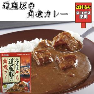 ベル食品 大泉洋 本日のスープカレーのスープ 2袋入り 北海道