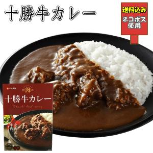 ベル食品 大泉洋 本日のスープカレーのスープ 2袋入り 北海道