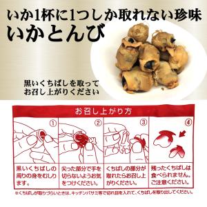 国産いかとんび イカトンビ イカとんび 120...の詳細画像4
