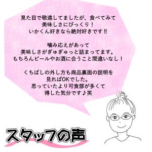 国産いかとんび イカトンビ イカとんび 120...の詳細画像5