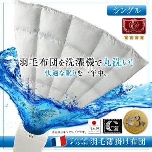 羽毛掛け布団 シングル 洗えるフランス産ダウン90％ 羽毛薄掛け布団｜hokuoliving