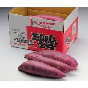 ギフト 堀他 五郎島金時1kg 石川 金沢名産品 さつまいも 芋 加賀野菜 送料別