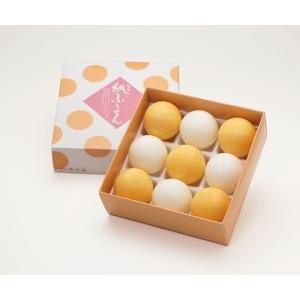 ギフト 菓匠高木屋 旬味紙ふうせん9個入 季節限定 金沢銘菓 和菓子 送料別