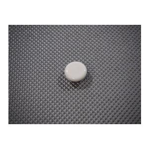 タカラ貝 Yahoo!オークション - ニセクチムラサキダカラ 30mm タカラガイ