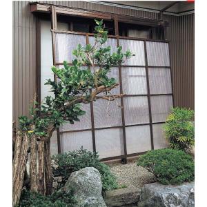 雪囲いの商品一覧 通販 Yahoo ショッピング