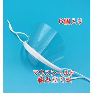 マウスシールド　6個組　透明衛生マスク｜hokushi-net