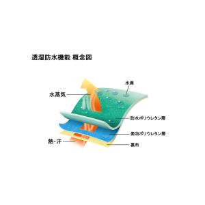 【2双まで運賃280円】防寒テムレス 282 ...の詳細画像4