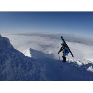 【2双まで運賃280円】防寒テムレス 282 ...の詳細画像5