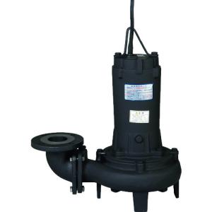 荏原製作所 80DL52.2 DL型汚水汚物用水中ポンプ 50Hz 口径80mm エバラ