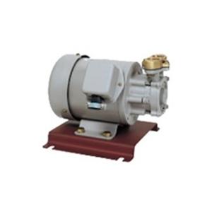 イワヤポンプ (岩谷電機製作所) 25CT502 鋳鉄製渦巻ポンプ 200W イワヤポンプ (岩谷電機製作所) 25CT502 鋳鉄製渦巻ポンプ 200W