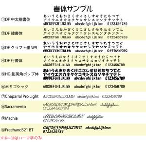 メイクブラシ 竹宝堂化粧筆 パウダーブラシ 2...の詳細画像4