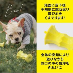 Pidan 犬用 デンタルケアおもちゃ リンゴの芯の詳細画像1