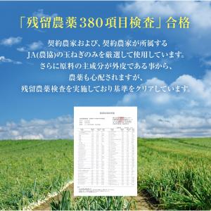 備南食研 国産玉ねぎの皮100% 玉ねぎの皮粉...の詳細画像3