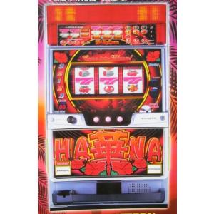 ドンドンハナハナ-30 パイオニア SLOT【パチスロ実機/パンフレット