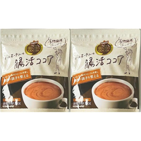 バンホーテン 腸活ココア 200g×2袋