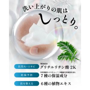 ボディソープ HOLO BELL グルーミング...の詳細画像5