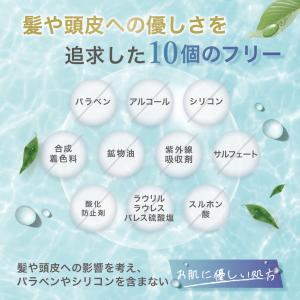 シャンプー メンズ オールインワン HOLO ...の詳細画像5
