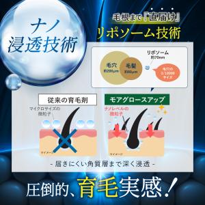 育毛剤 薬用 HOLO BELL モアグロース...の詳細画像3
