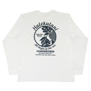 長袖 Tシャツ メンズ フララニ ハワイアン (メンズ/ホワイト) 234HU1LT029 サーフブランド 送料無料 ハワイアン雑貨 ハワイアン 雑貨 ハワイ｜holoholo