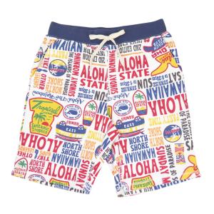 ハーフパンツ メンズ ショートパンツ 2025新作 Hulalani Hawaii