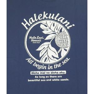 半袖 メンズ Tシャツ フララニ ハワイ Hu...の詳細画像2