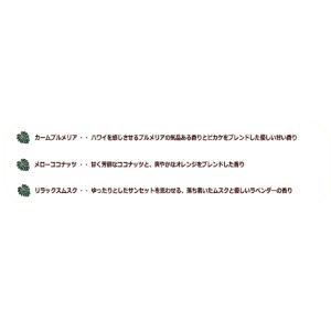 ハワイアン ディフューザー 芳香剤 リラクシン...の詳細画像3