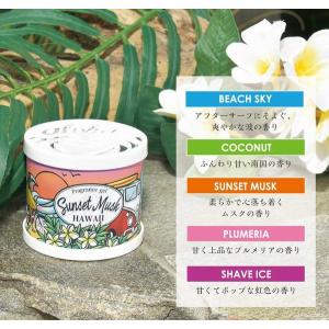 ハワイアン 芳香剤 インテリア ハワイアン雑貨...の詳細画像2