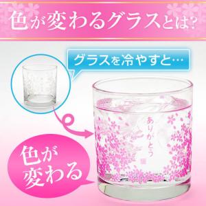 御歳暮 2022 おしゃれ お花見 グラス ギ...の詳細画像2