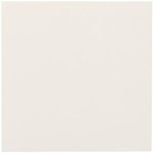 エコカラット ECP-303/NTC1FN[ケース] エコカラットプラス ニュー