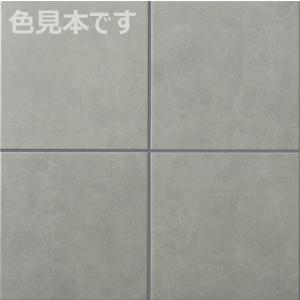 パセオ IPF-300/PSO-BR1[ケース...の詳細画像2