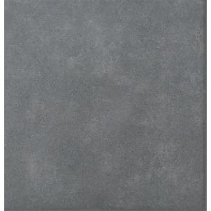 パセオ IPF-300/PSO-BR2[ケース]...の商品画像