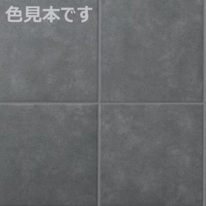パセオ IPF-300/PSO-BR2[ケース...の詳細画像2
