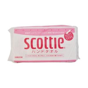 (あわせ買い1999円以上で送料お得)スコッティ...の商品画像
