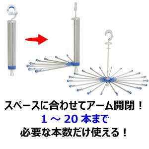 (あわせ買い1999円以上で送料お得)キクロン...の詳細画像4