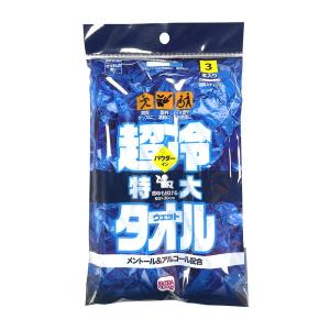 (あわせ買い1999円以上で送料お得)ハダリキ HADARIKI EXC 超冷 大判 ウエットタオル 3本入 ウェットシート
