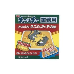 中古】パステライザー PASTOMASTER 30 RTX カルピジャーニ製 【動産王