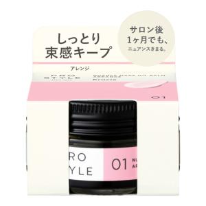 SHISEIDO（資生堂） ジェレイド デザインワックスNA (75g