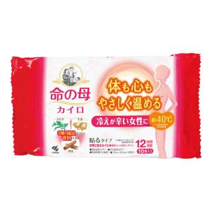 桐灰 小林製薬 桐灰カイロ 貼らない マグマ ミニ 10個入【ドラッグ
