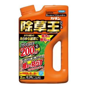 【あわせ買い1999円以上で送料お得】フマキラー カダン 除草王 根まで枯らす ザッソージエース 2L｜ホームライフ ヤフー店